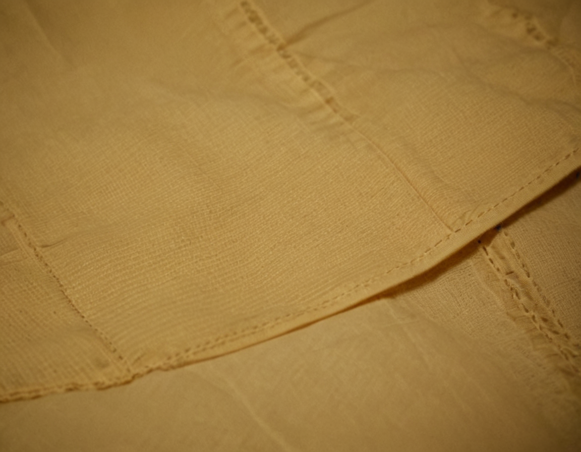 Featured image for blog post: Fact vs Fiction in Panty Lining History